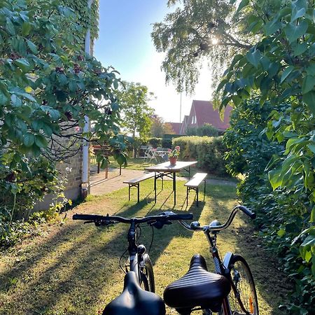 Hemmet Simrishamns Vandrarhem Och B&B Экстерьер фото